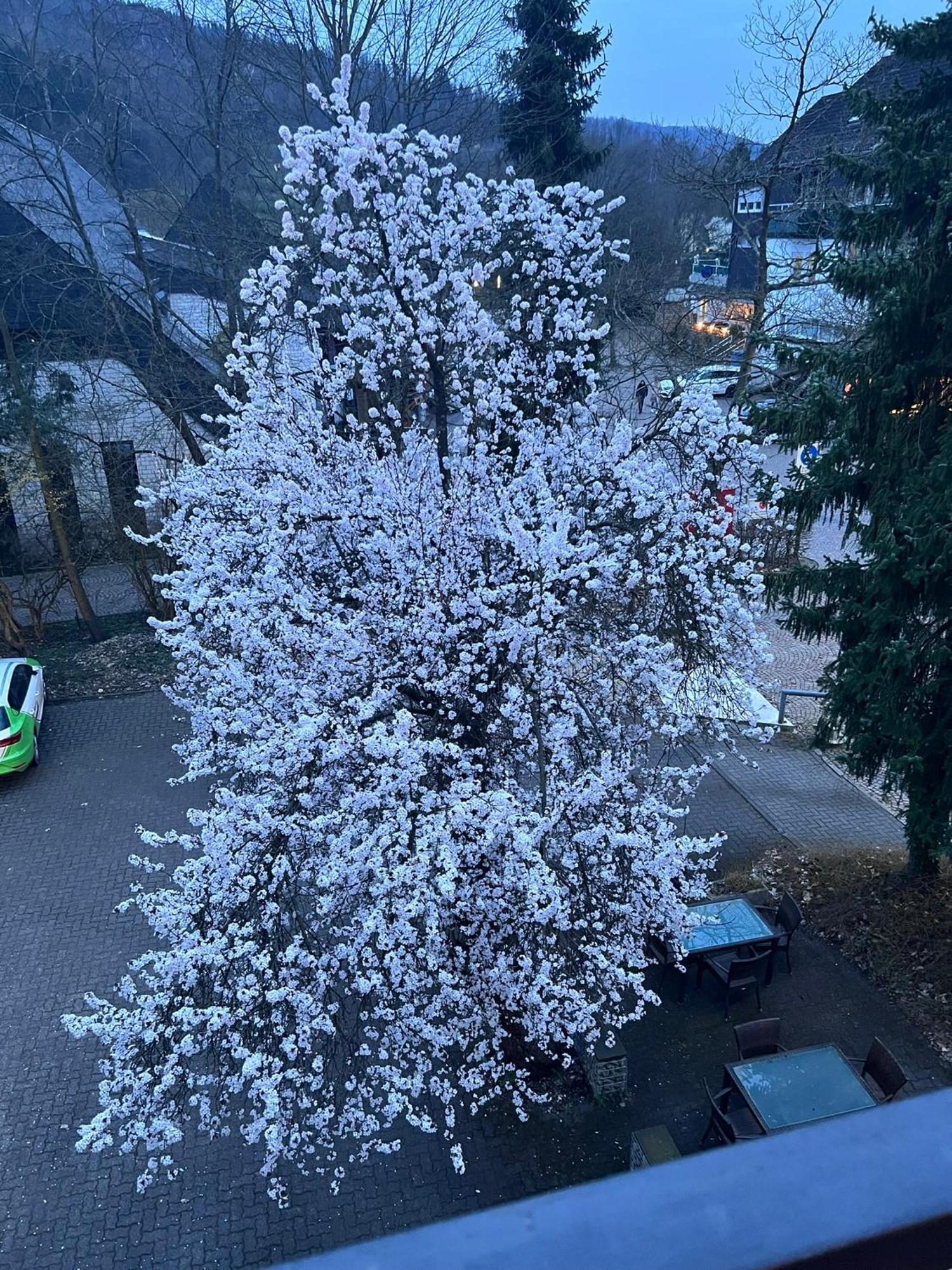 Hotel Wittgensteiner Hof Bad Laasphe Esterno foto