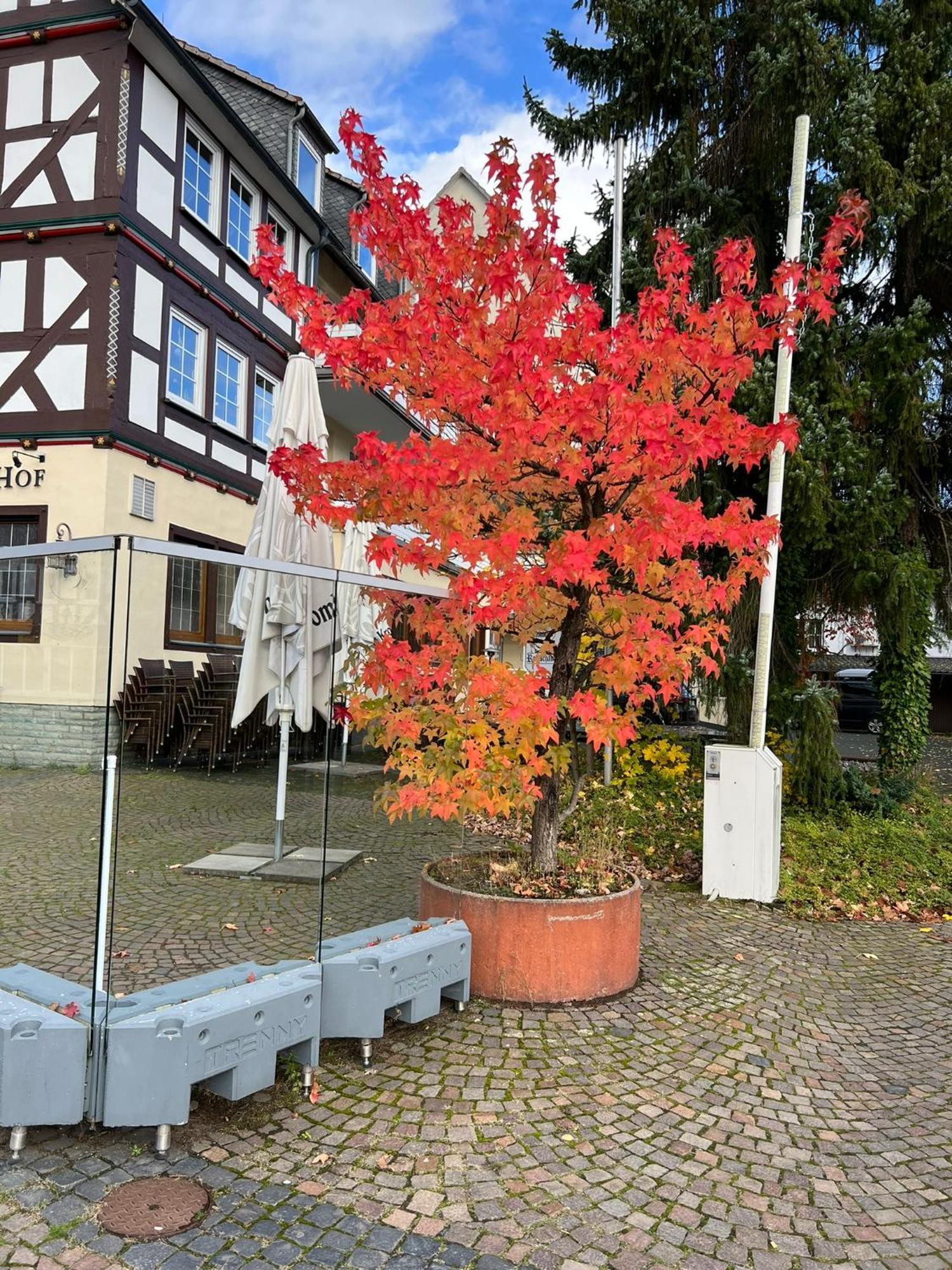 Hotel Wittgensteiner Hof Bad Laasphe Esterno foto